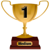Number 1 Award for Medium Level