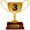 Number 3 Award for Medium Level